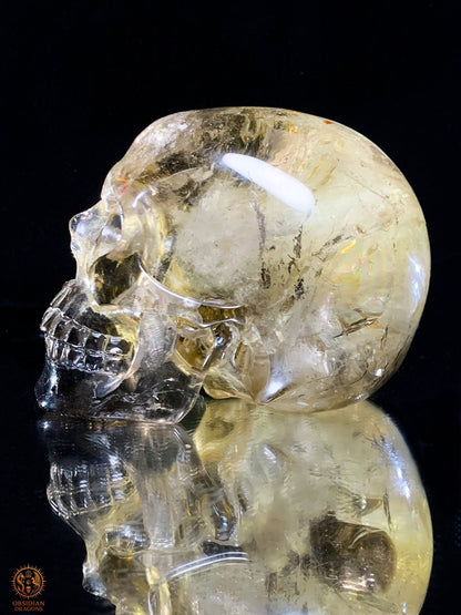 Crâne de Cristal en Quartz Fumé – Reflets Arc-en-Ciel - rare | obsidian dragons