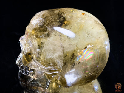 Crâne de Cristal en Quartz Fumé – Reflets Arc-en-Ciel - rare | obsidian dragons