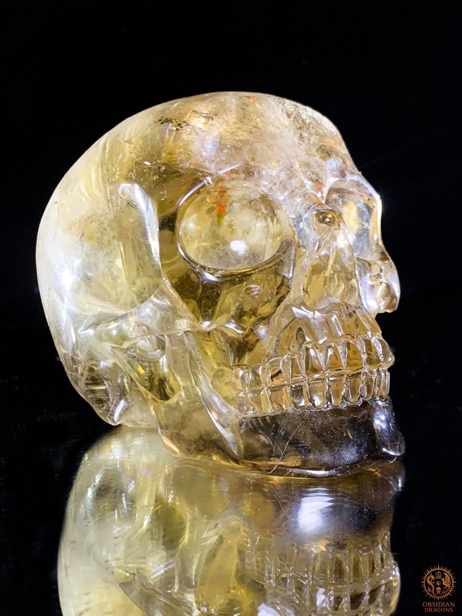 Crâne de Cristal en Quartz Fumé – Reflets Arc-en-Ciel - rare | obsidian dragons