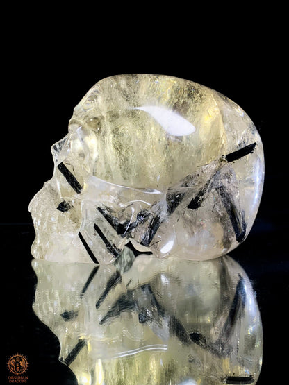 Crâne de Cristal en Quartz Fumé à Tourmaline Noire - Rare | obsidian dragons