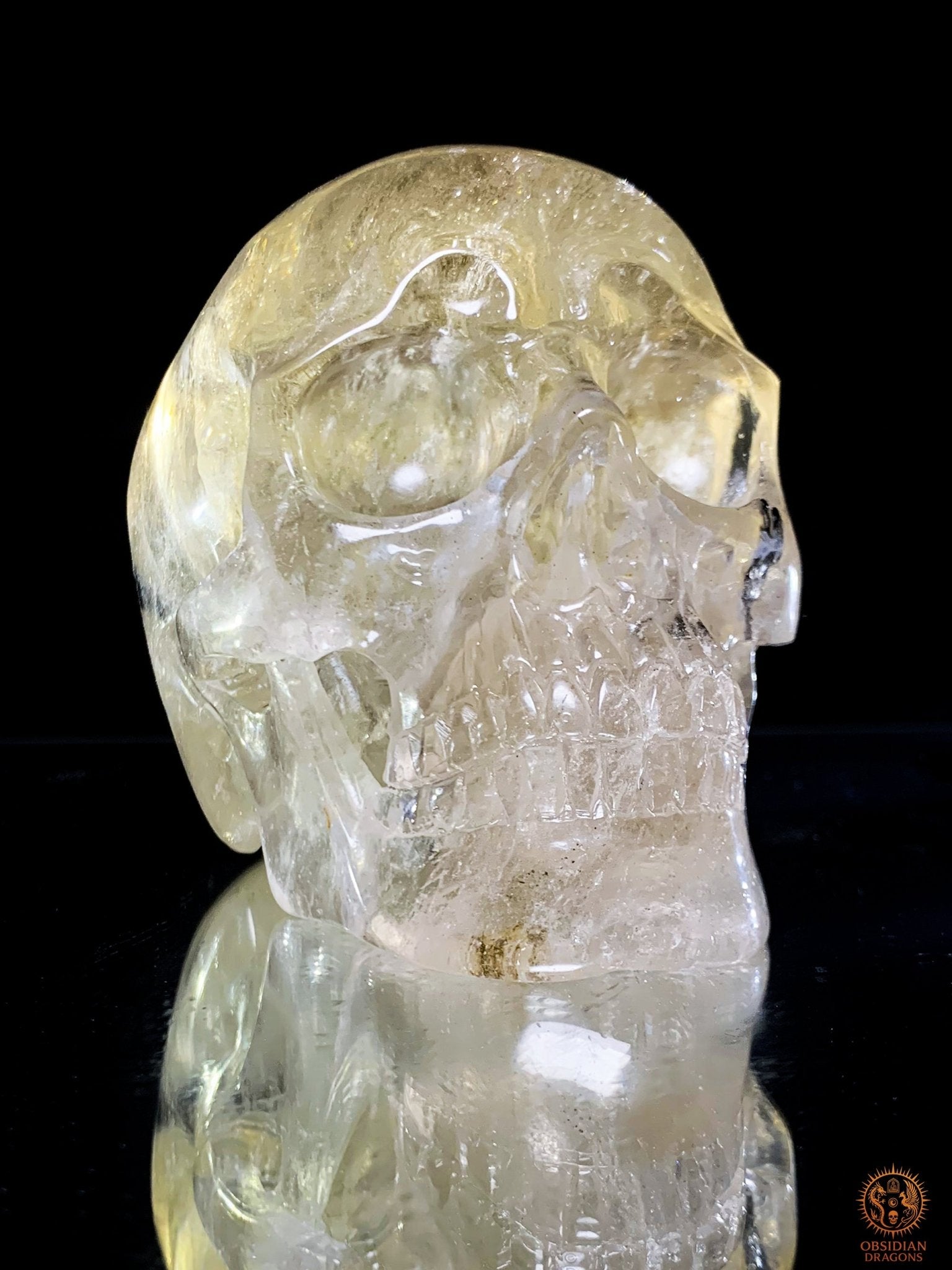 Crâne de Cristal en Quartz Fumé à Tourmaline Noire - Rare | obsidian dragons