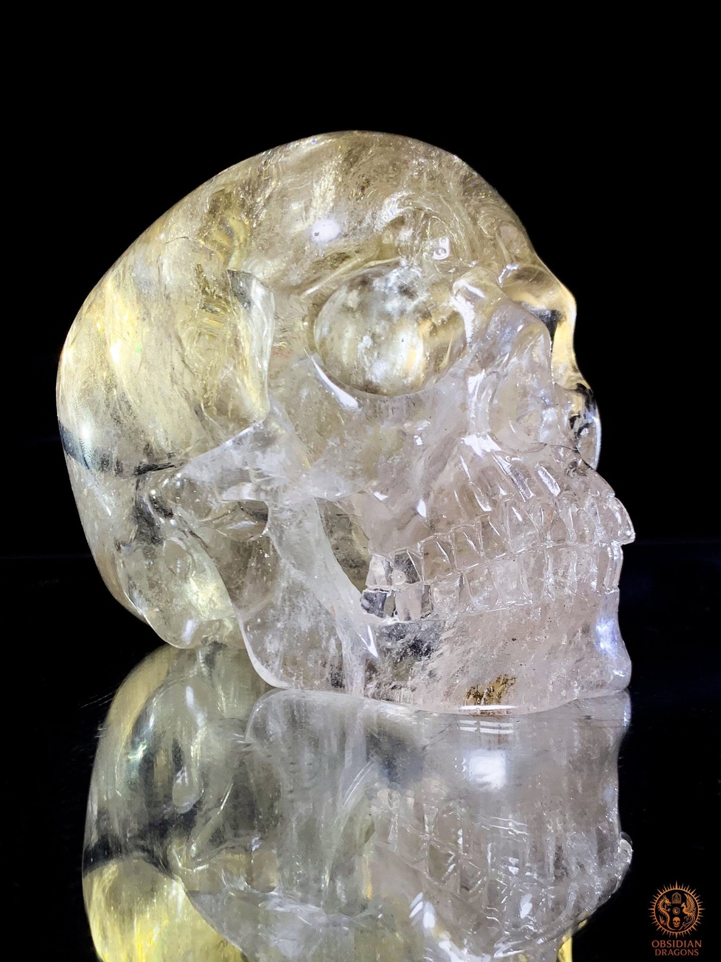 Crâne de Cristal en Quartz Fumé à Tourmaline Noire - Rare | obsidian dragons