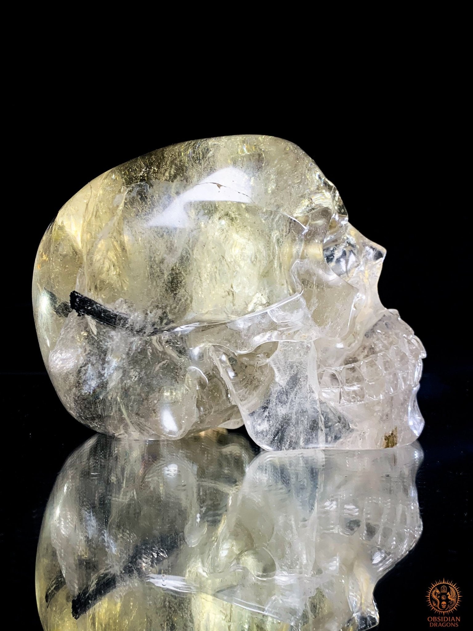 Crâne de Cristal en Quartz Fumé à Tourmaline Noire - Rare | obsidian dragons