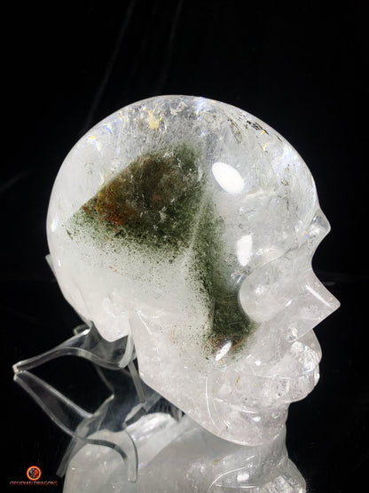 Crâne de Cristal en Quartz Lodolite – Crâne de collection | obsidian dragons