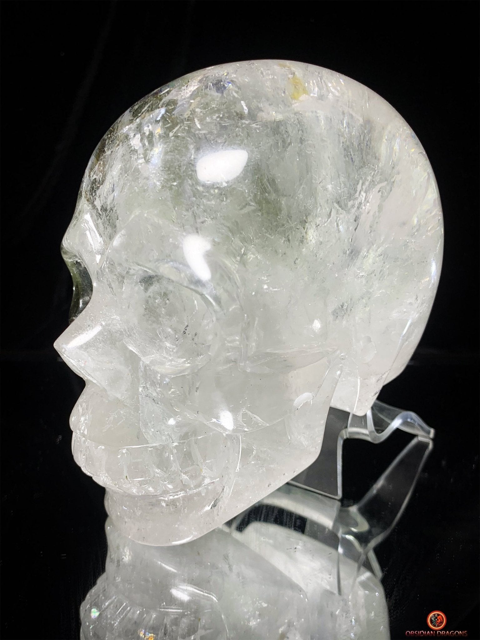 Crâne de Cristal en Quartz Lodolite – Crâne de collection | obsidian dragons