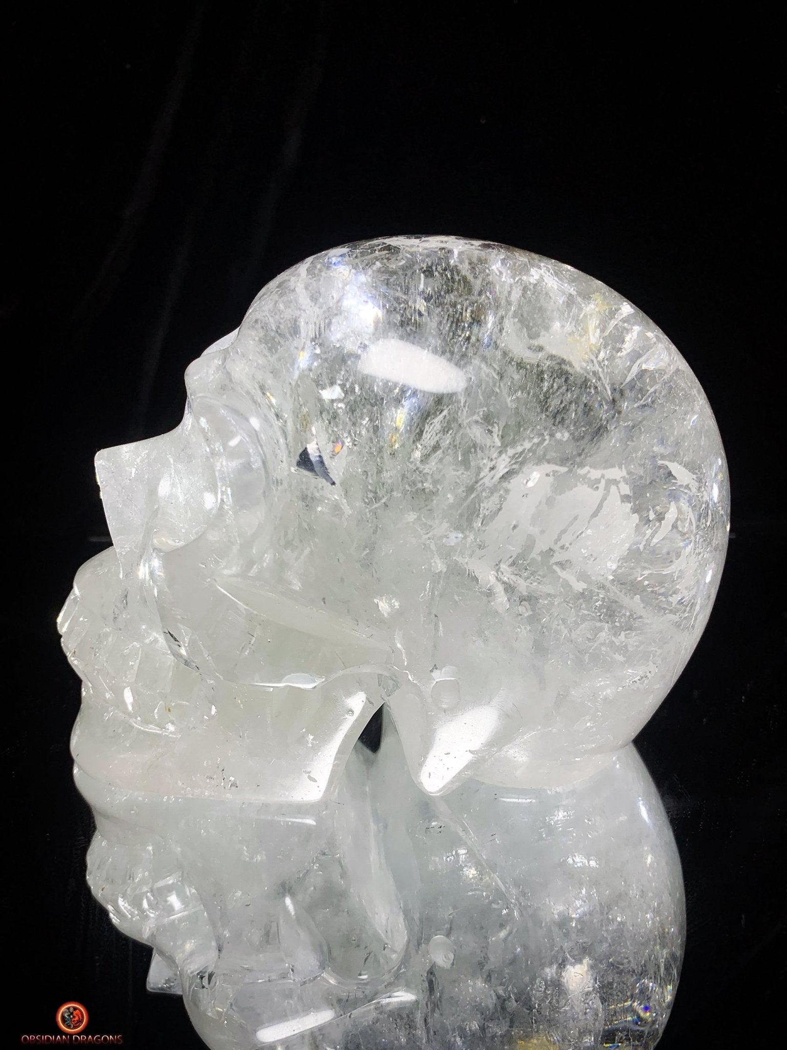 Crâne de Cristal en Quartz Lodolite – Crâne de collection | obsidian dragons