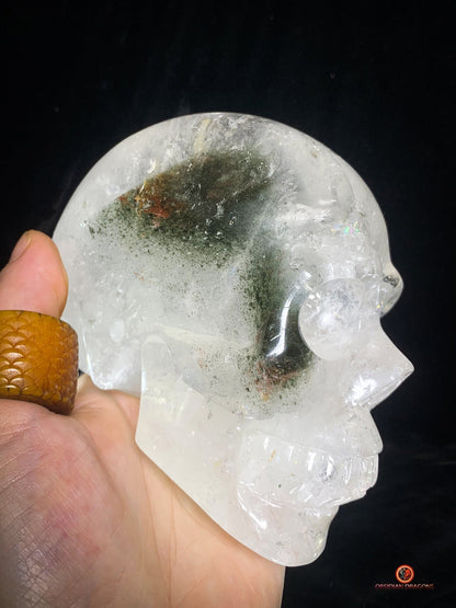 Crâne de Cristal en Quartz Lodolite – Crâne de collection | obsidian dragons