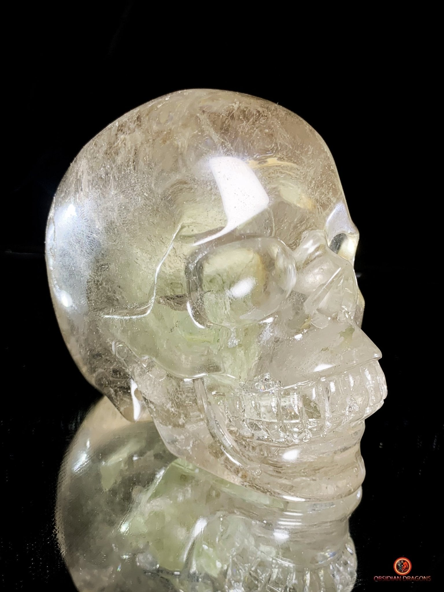 Crâne de Cristal en Quartz Lodolite - Qualité Supérieure | obsidian dragons