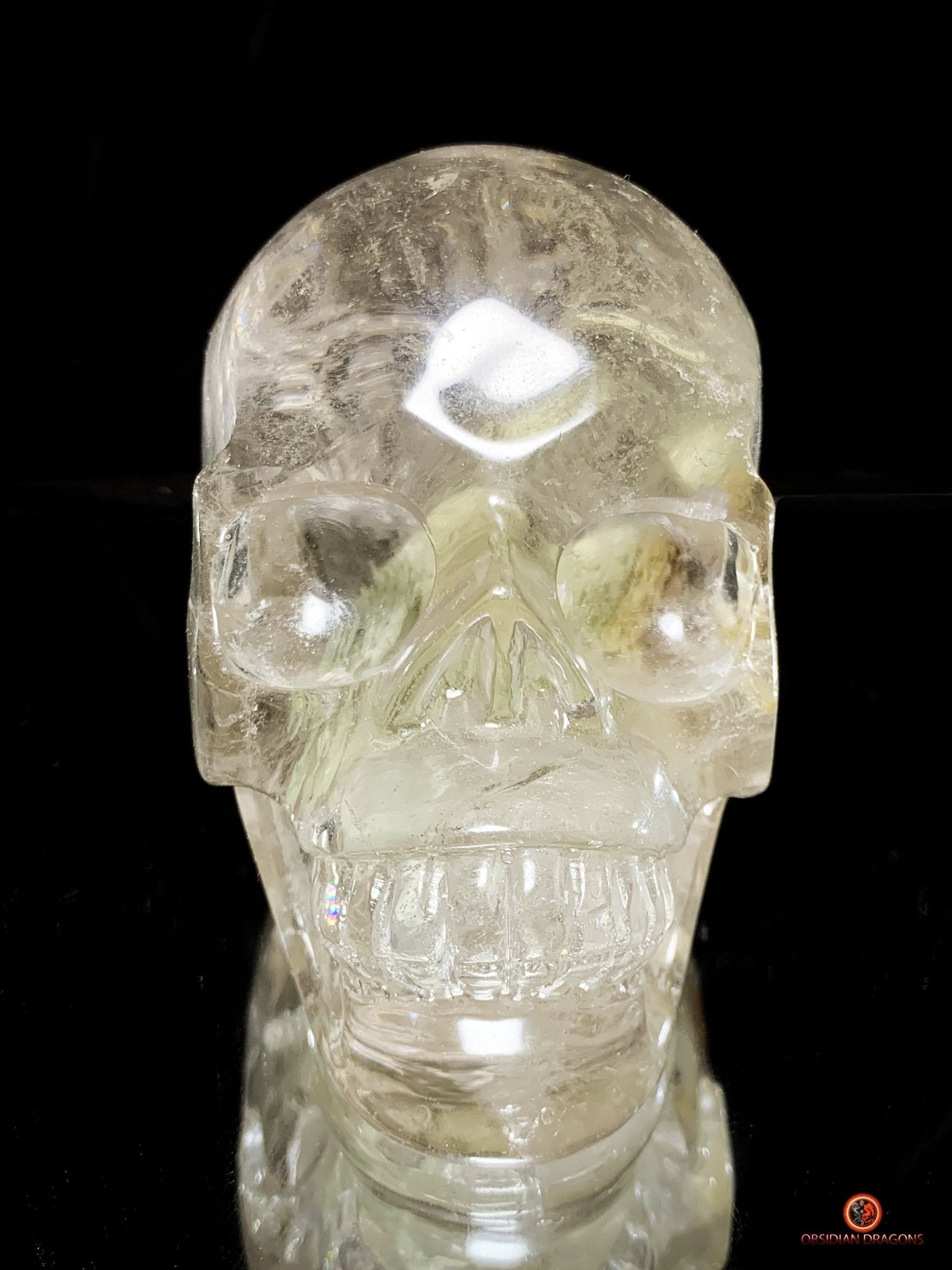 Crâne de Cristal en Quartz Lodolite - Qualité Supérieure | obsidian dragons