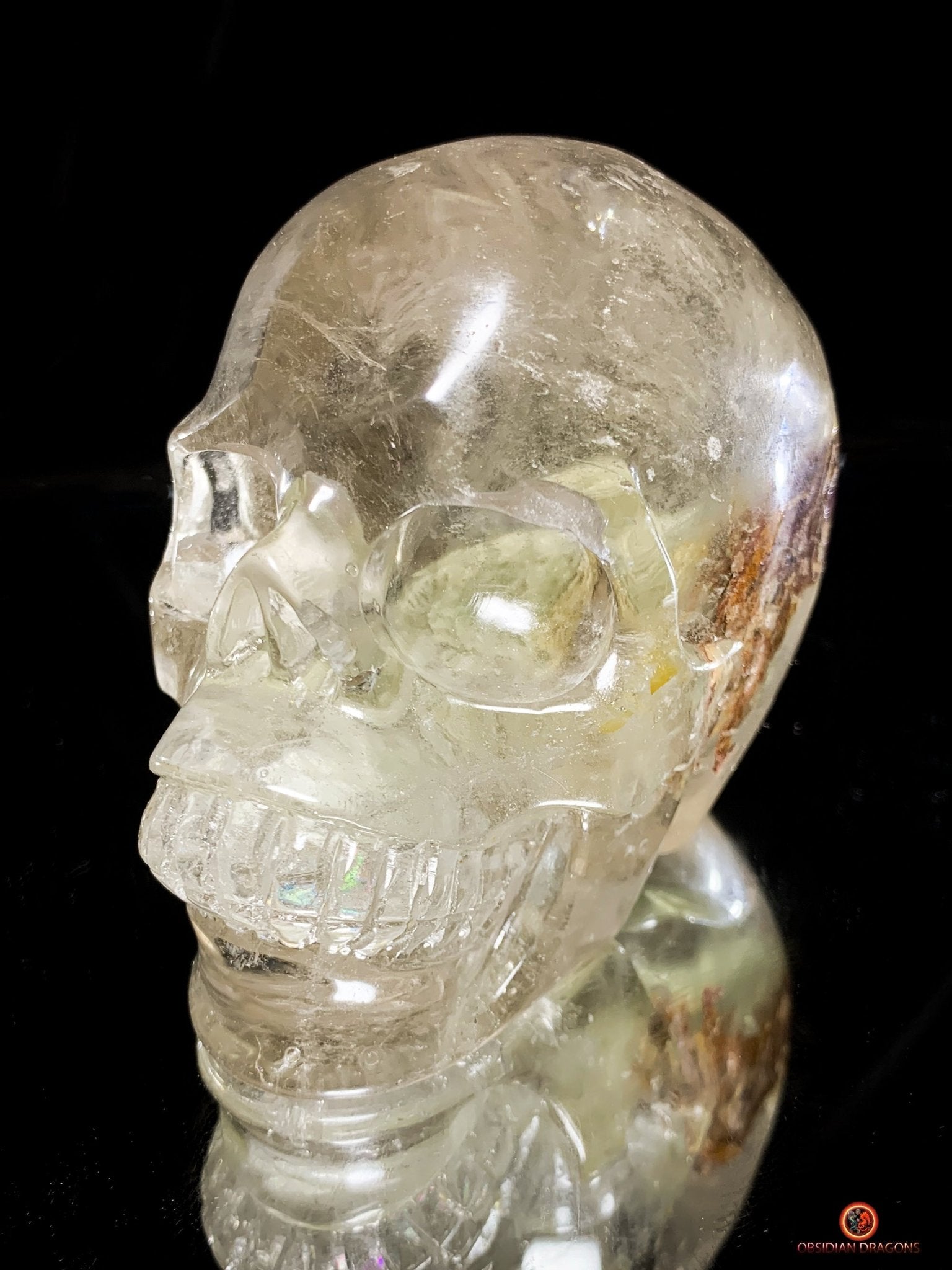Crâne de Cristal en Quartz Lodolite - Qualité Supérieure | obsidian dragons