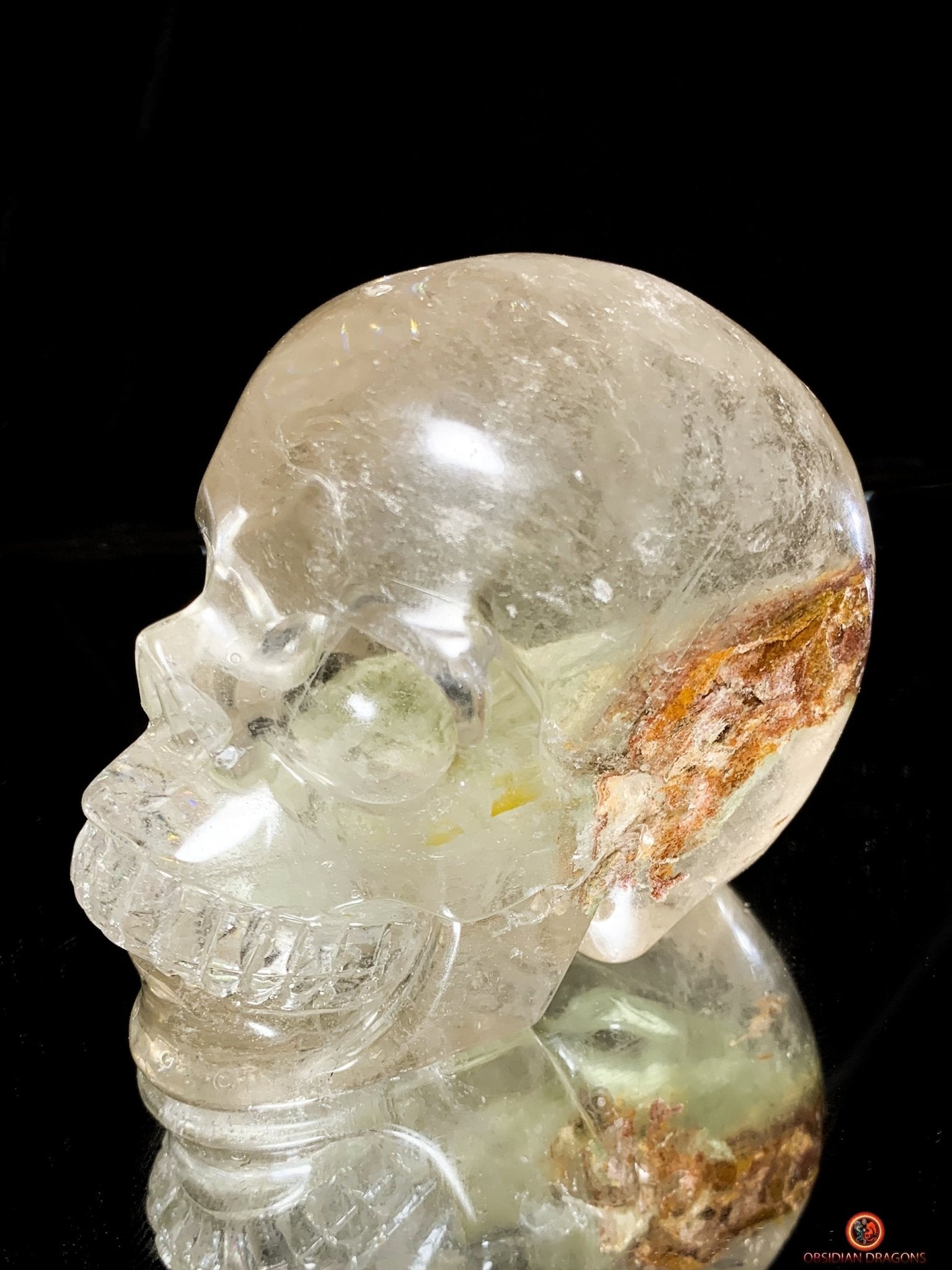 Crâne de Cristal en Quartz Lodolite - Qualité Supérieure - obsidian dragons