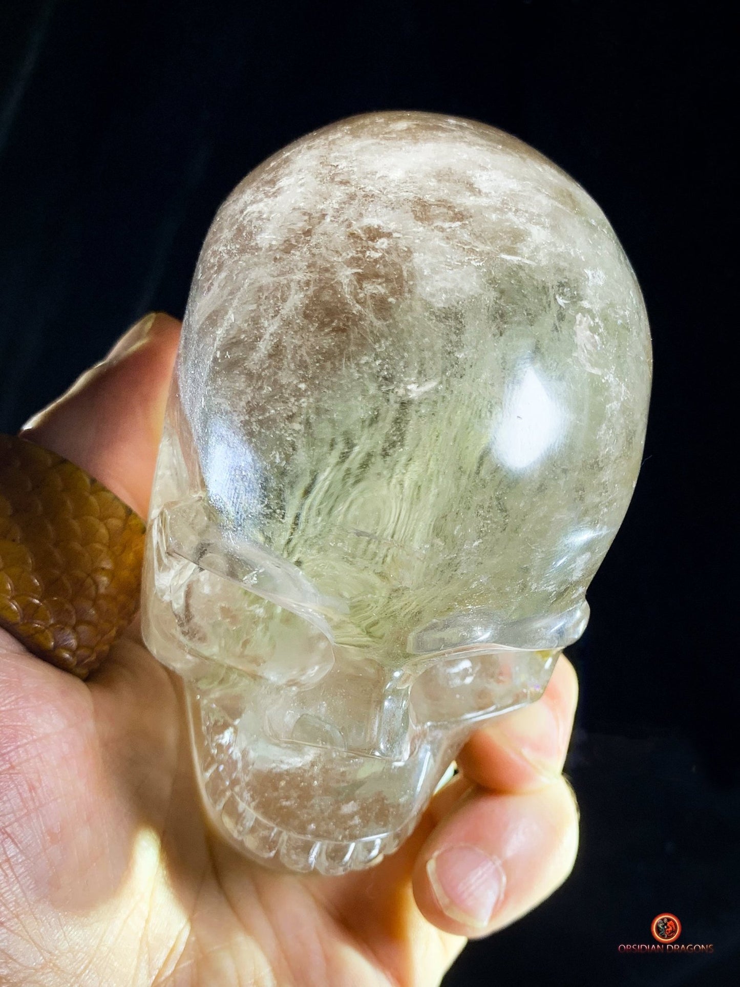 Crâne de Cristal en Quartz Lodolite - Qualité Supérieure | obsidian dragons
