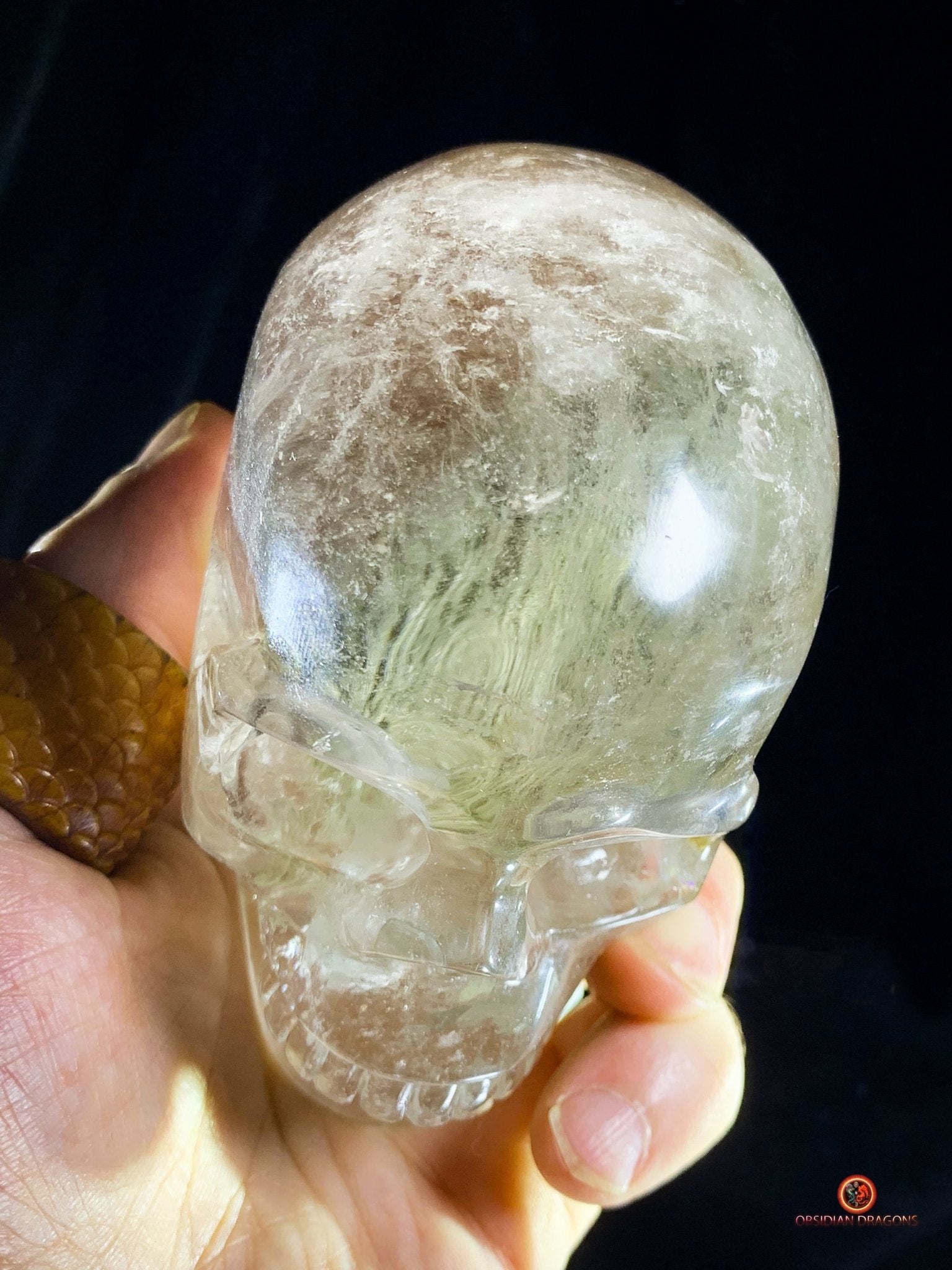 Crâne de Cristal en Quartz Lodolite - Qualité Supérieure | obsidian dragons