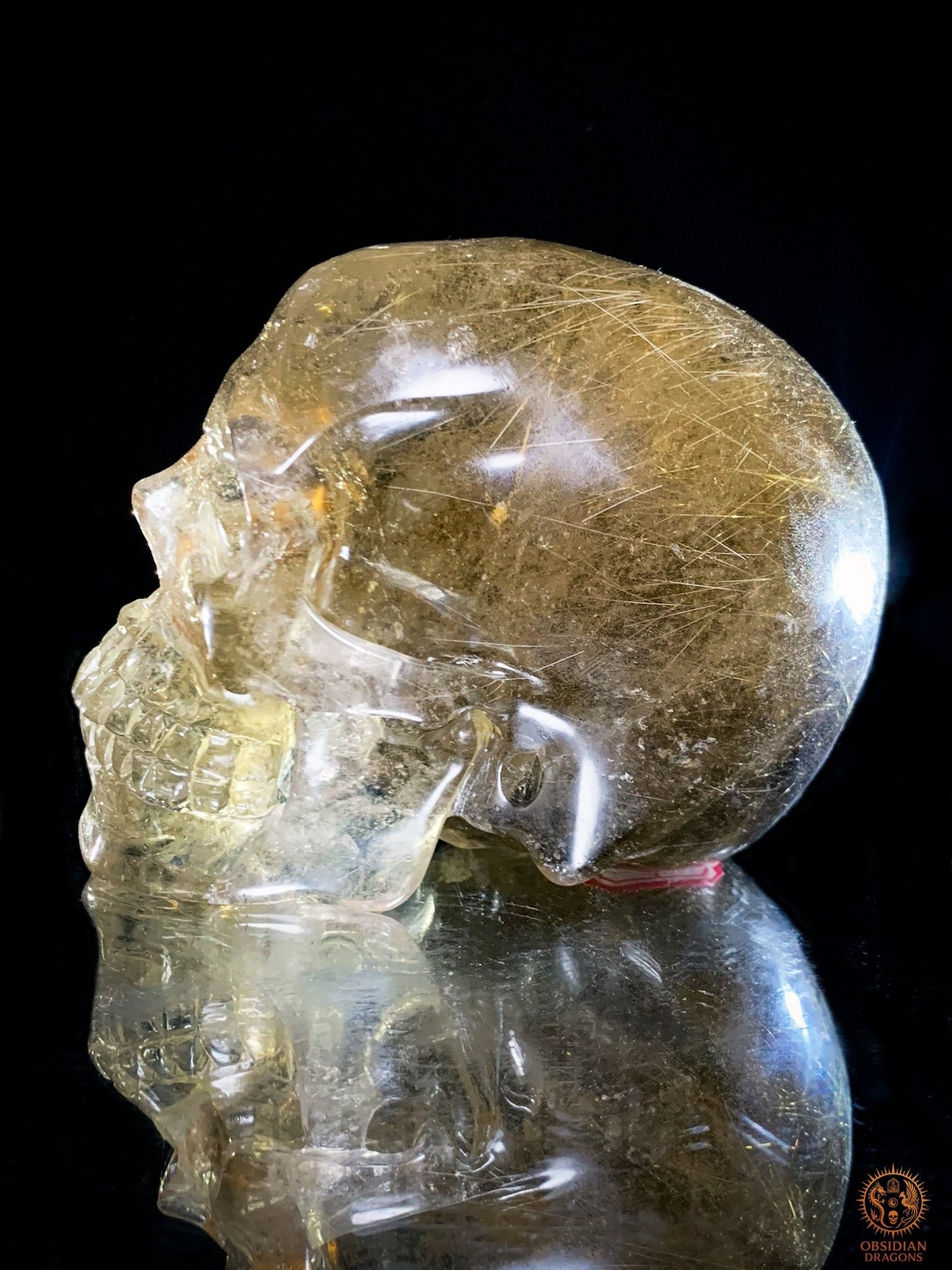 Crâne de Cristal en Quartz Rutile - Quartz fumé - Rarissime | obsidian dragons