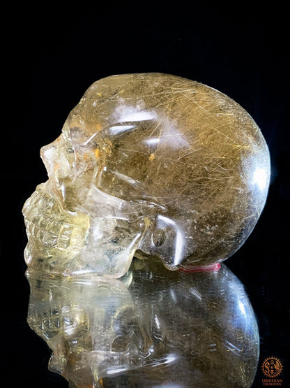 Crâne de Cristal en Quartz Rutile - Quartz fumé - Rarissime | obsidian dragons