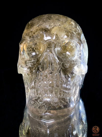 Crâne de Cristal en Quartz Rutile - Quartz fumé - Rarissime | obsidian dragons