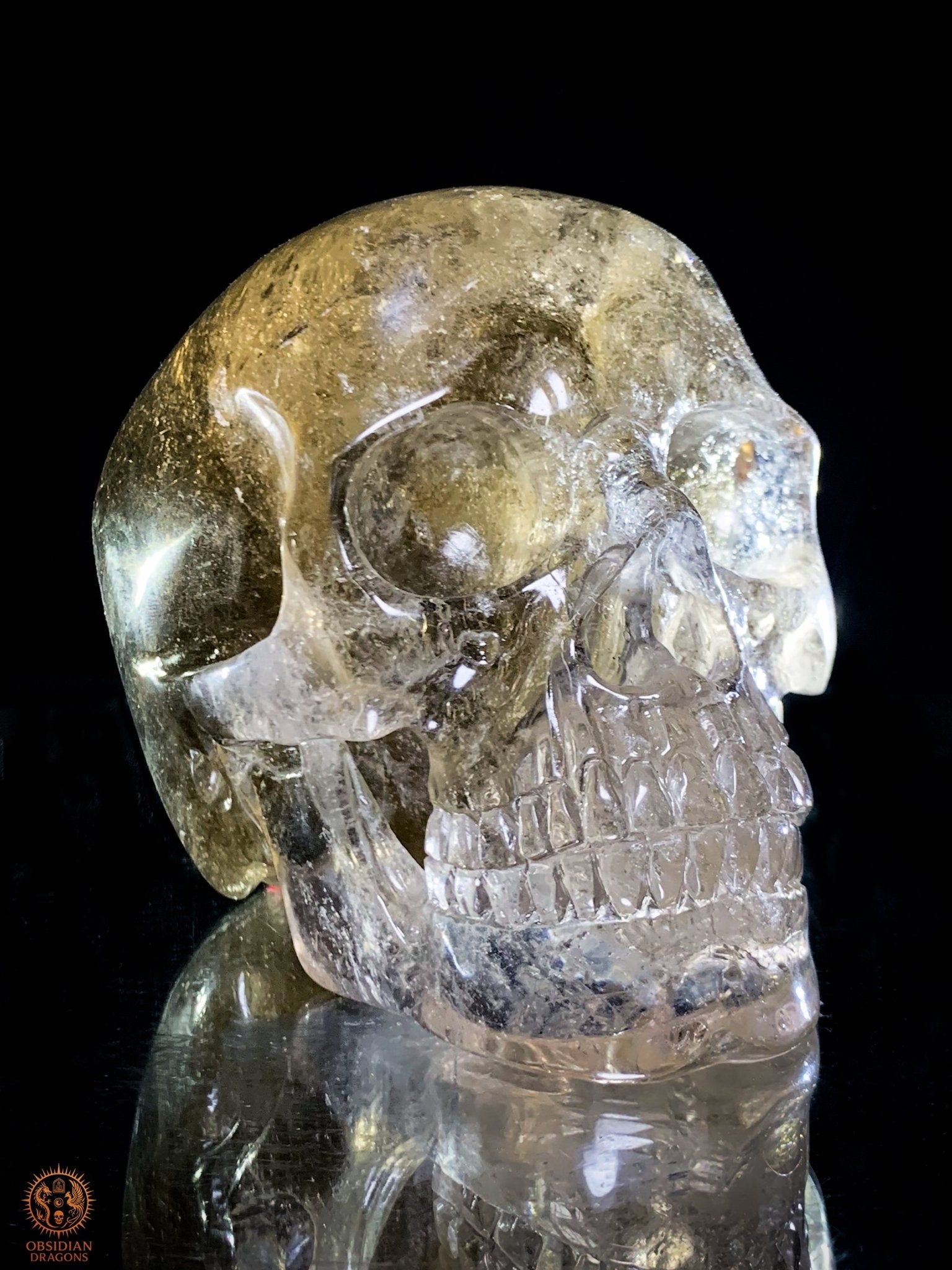 Crâne de Cristal en Quartz Rutile - Quartz fumé - Rarissime | obsidian dragons