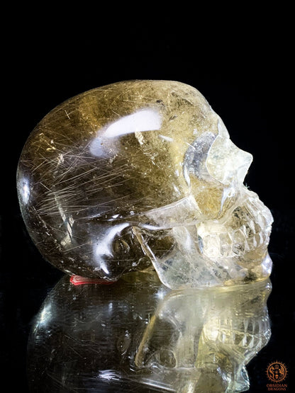 Crâne de Cristal en Quartz Rutile - Quartz fumé - Rarissime | obsidian dragons