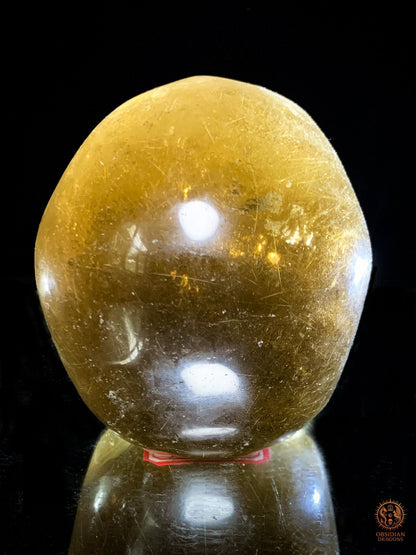 Crâne de Cristal en Quartz Rutile - Quartz fumé - Rarissime | obsidian dragons