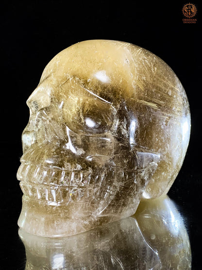 Crâne de Cristal en Quartz Rutile – Sculpture Rare de collection | obsidian dragons