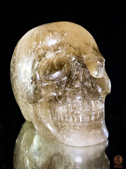 Crâne de Cristal en Quartz Rutile – Sculpture Rare de collection | obsidian dragons