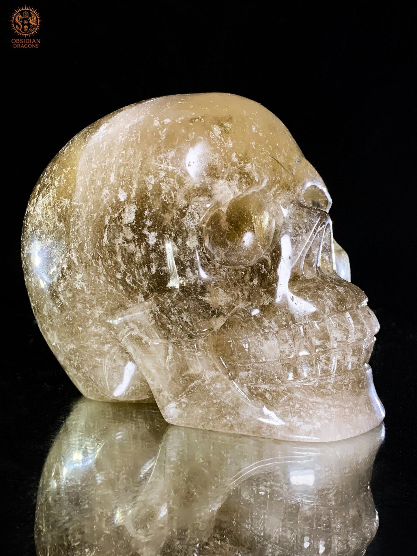 Crâne de Cristal en Quartz Rutile – Sculpture Rare de collection | obsidian dragons