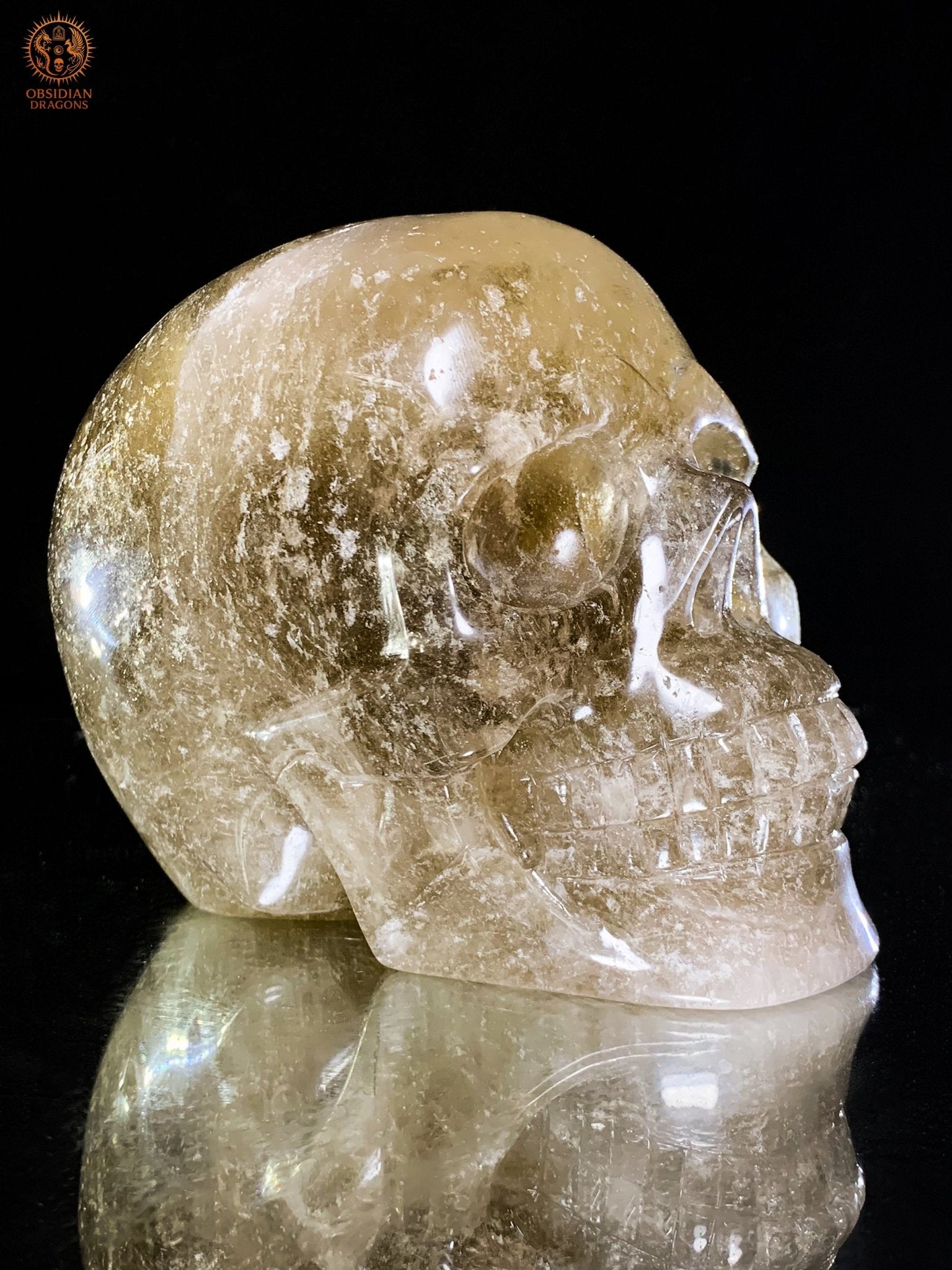 Crâne de Cristal en Quartz Rutile – Sculpture Rare de collection | obsidian dragons