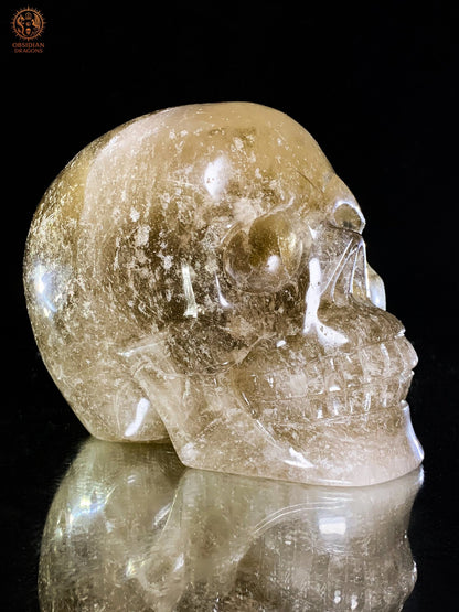 Crâne de Cristal en Quartz Rutile – Sculpture Rare de collection | obsidian dragons