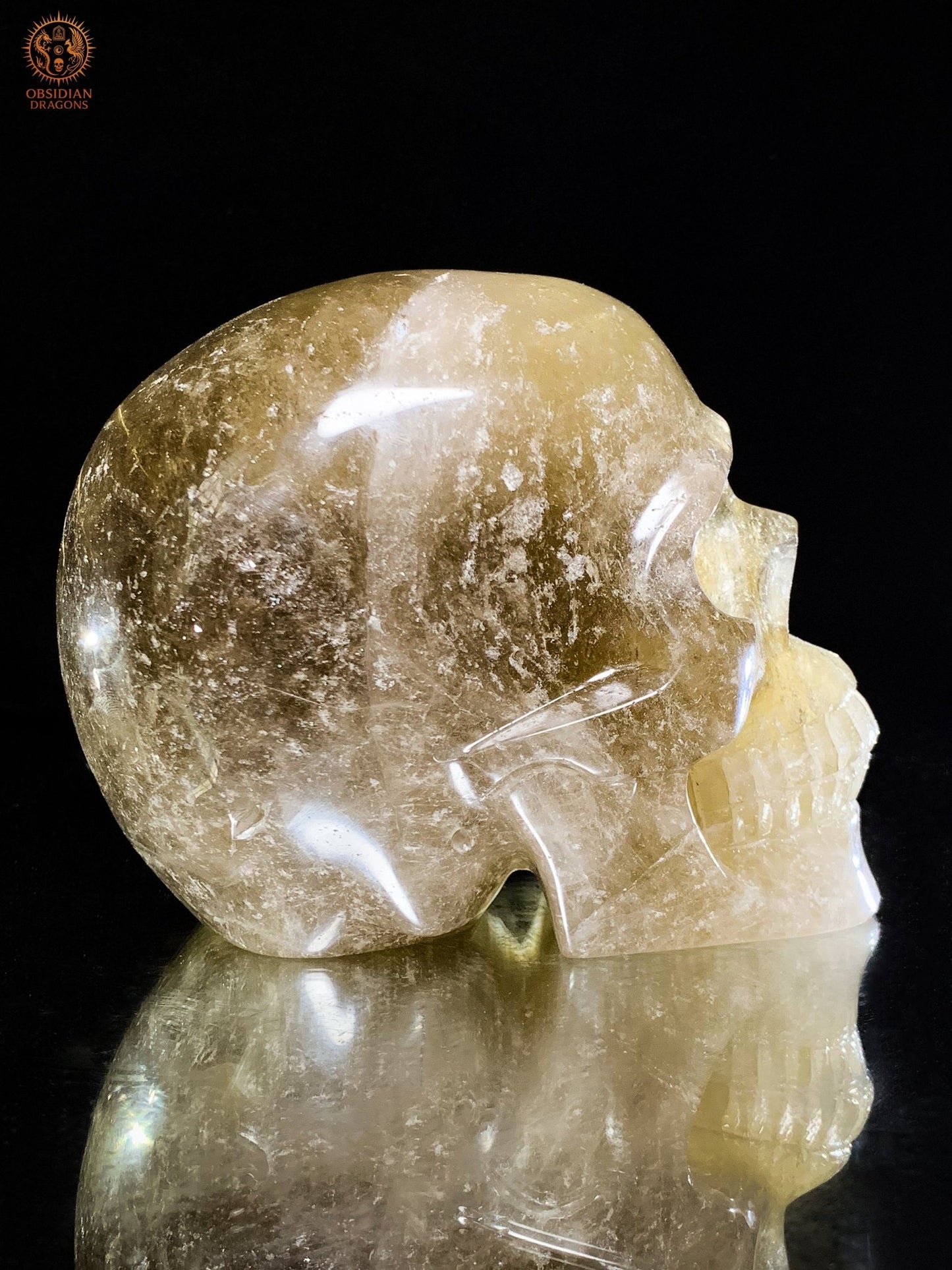 Crâne de Cristal en Quartz Rutile – Sculpture Rare de collection | obsidian dragons