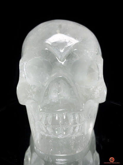 Crâne de Cristal en Quartz jardin – Crâne de cristal unique | obsidian dragons