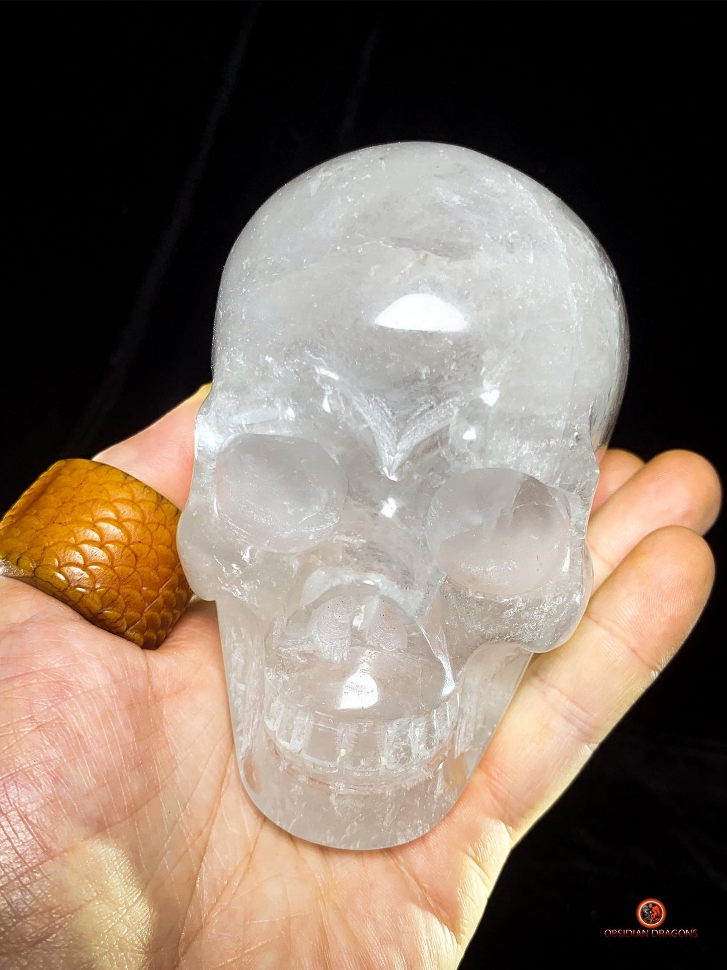 Crâne de Cristal en Quartz jardin – Crâne de cristal unique | obsidian dragons
