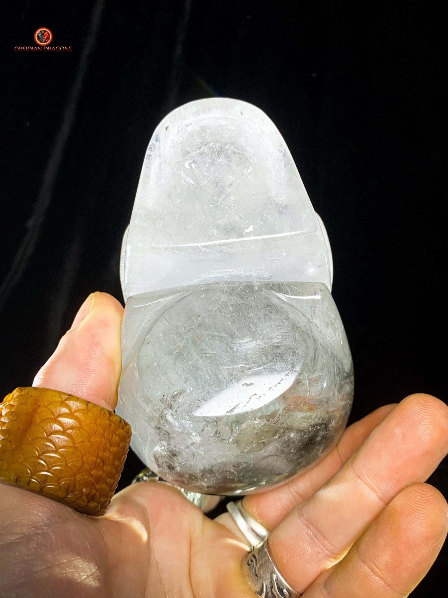 Crâne de Cristal en Quartz jardin – Crâne de cristal unique - obsidian dragons