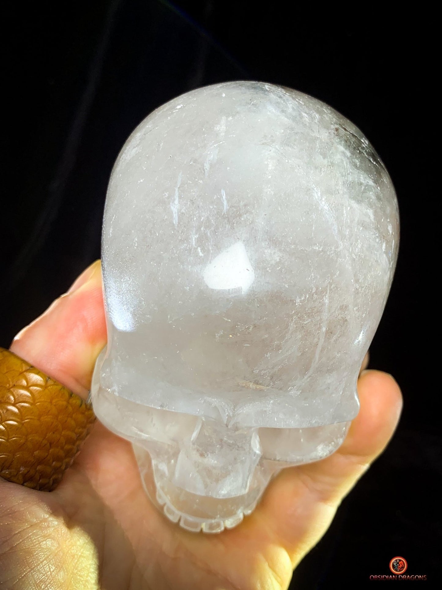 Crâne de Cristal en Quartz jardin – Crâne de cristal unique | obsidian dragons