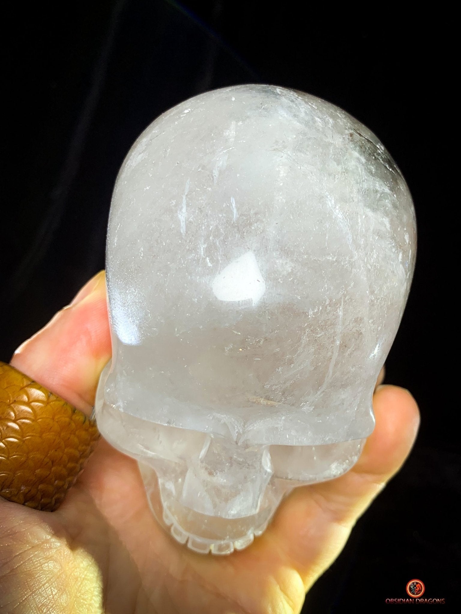 Crâne de Cristal en Quartz jardin – Crâne de cristal unique | obsidian dragons
