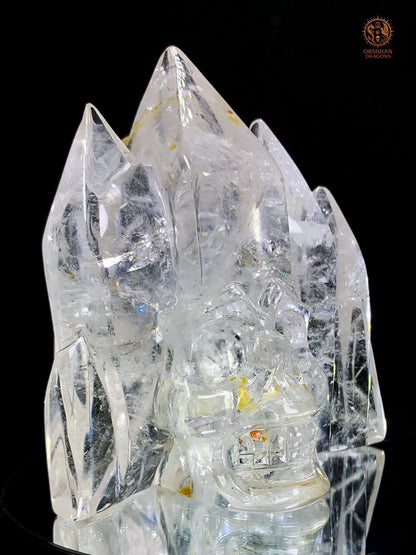 Crâne de Cristal en Cristal de Roche – Temple de Lumière | obsidian dragons