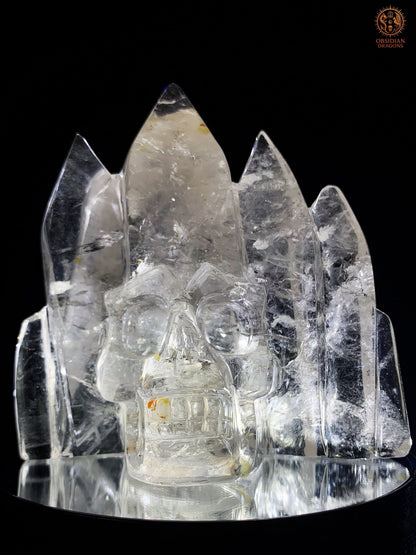 Crâne de Cristal en Cristal de Roche – Temple de Lumière | obsidian dragons