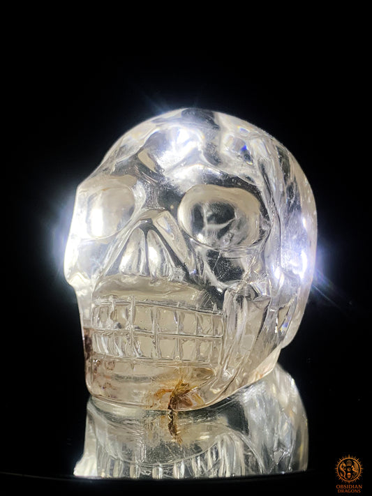 Crâne de Cristal  en cristal de roche - sang de la terre | obsidian dragons