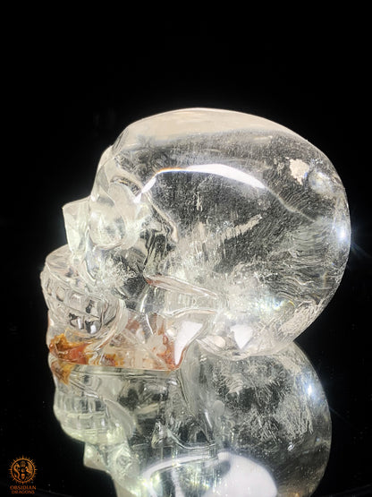 Crâne de Cristal  en cristal de roche - sang de la terre | obsidian dragons