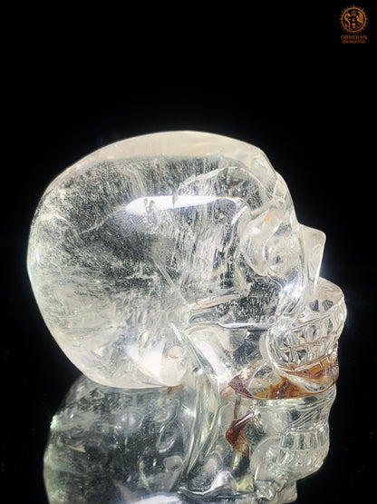 Crâne de Cristal  en cristal de roche - sang de la terre | obsidian dragons
