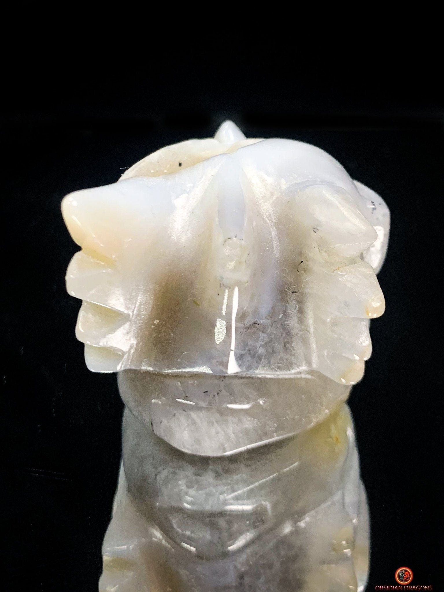 Crâne de Dragon Géode de Quartz et Agate – Ancrage Spirituel | obsidian dragons