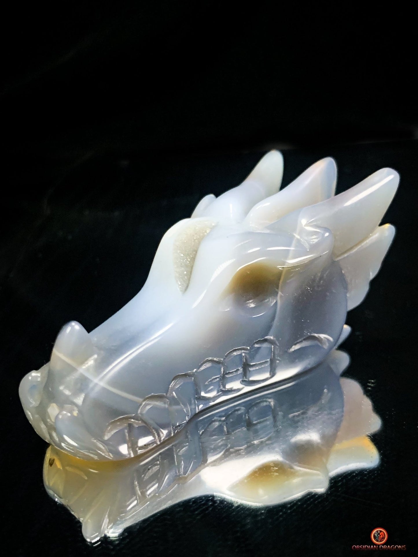 Crâne de Dragon dans géode de quartz – Lumière et Guérison | obsidian dragons