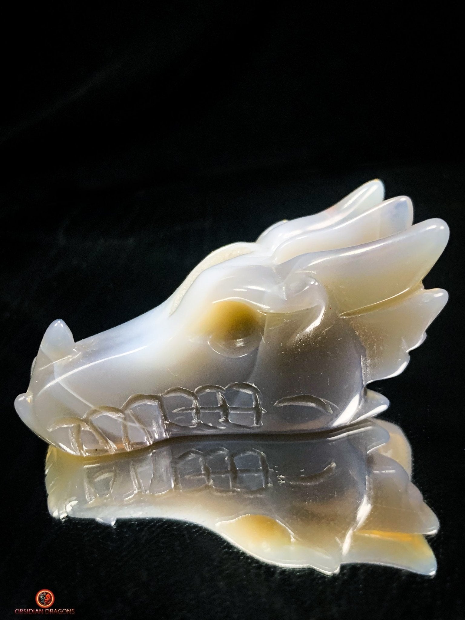 Crâne de Dragon dans géode de quartz – Lumière et Guérison | obsidian dragons