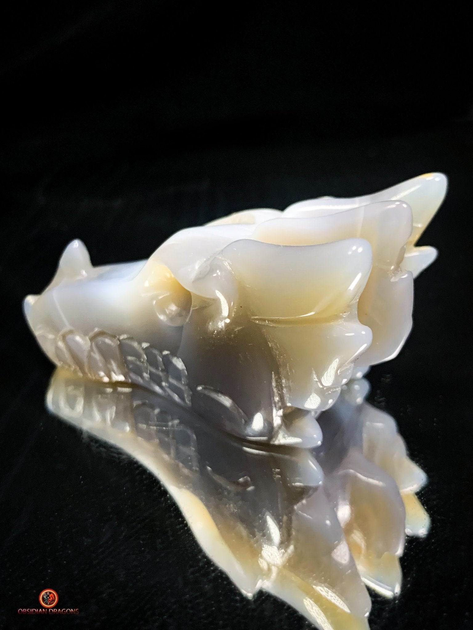 Crâne de Dragon dans géode de quartz – Lumière et Guérison | obsidian dragons