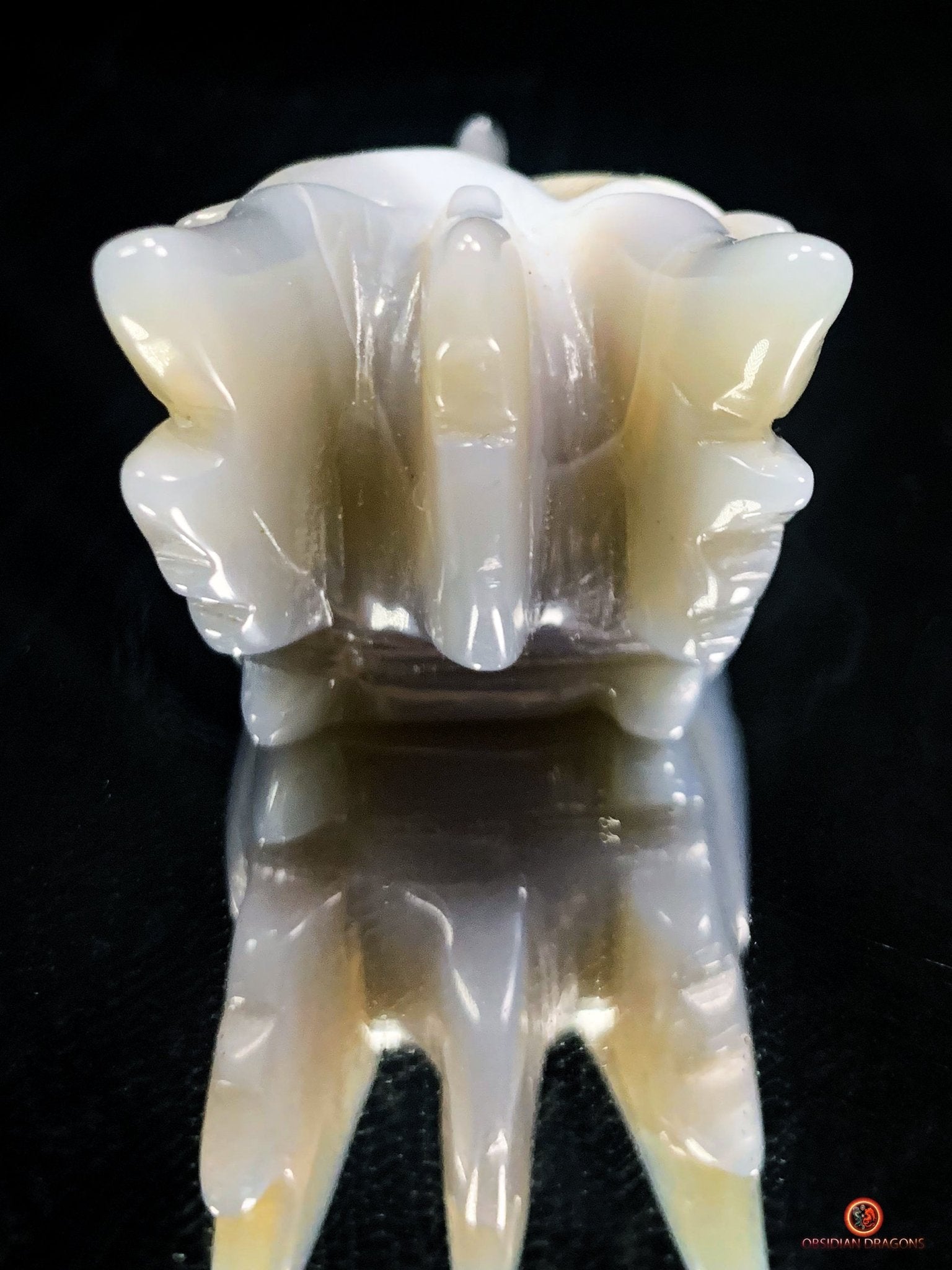 Crâne de Dragon dans géode de quartz – Lumière et Guérison | obsidian dragons