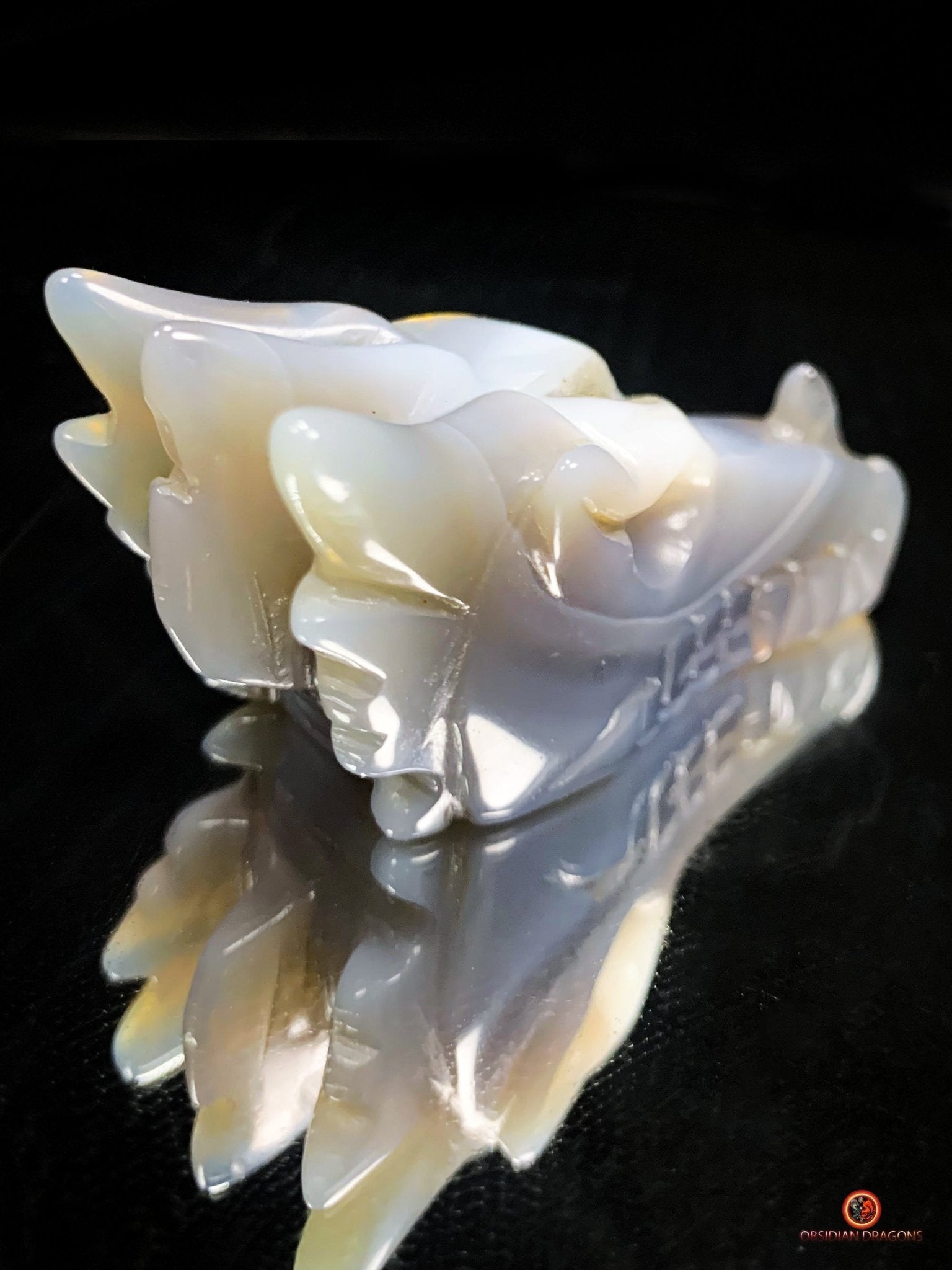 Crâne de Dragon dans géode de quartz – Lumière et Guérison | obsidian dragons