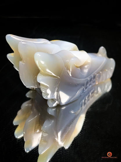 Crâne de Dragon dans géode de quartz – Lumière et Guérison | obsidian dragons