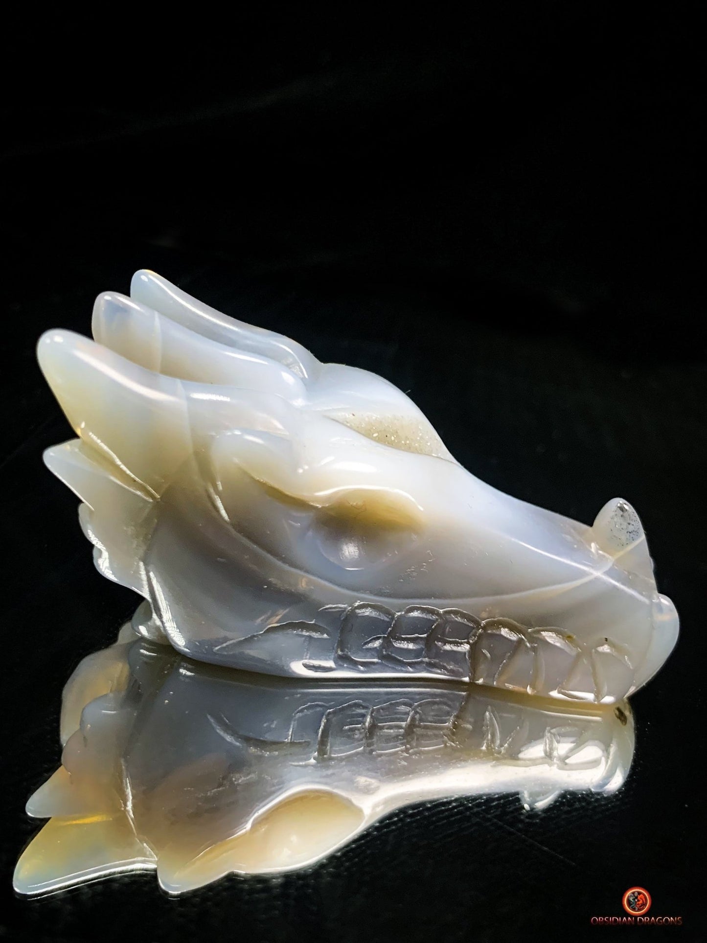 Crâne de Dragon dans géode de quartz – Lumière et Guérison