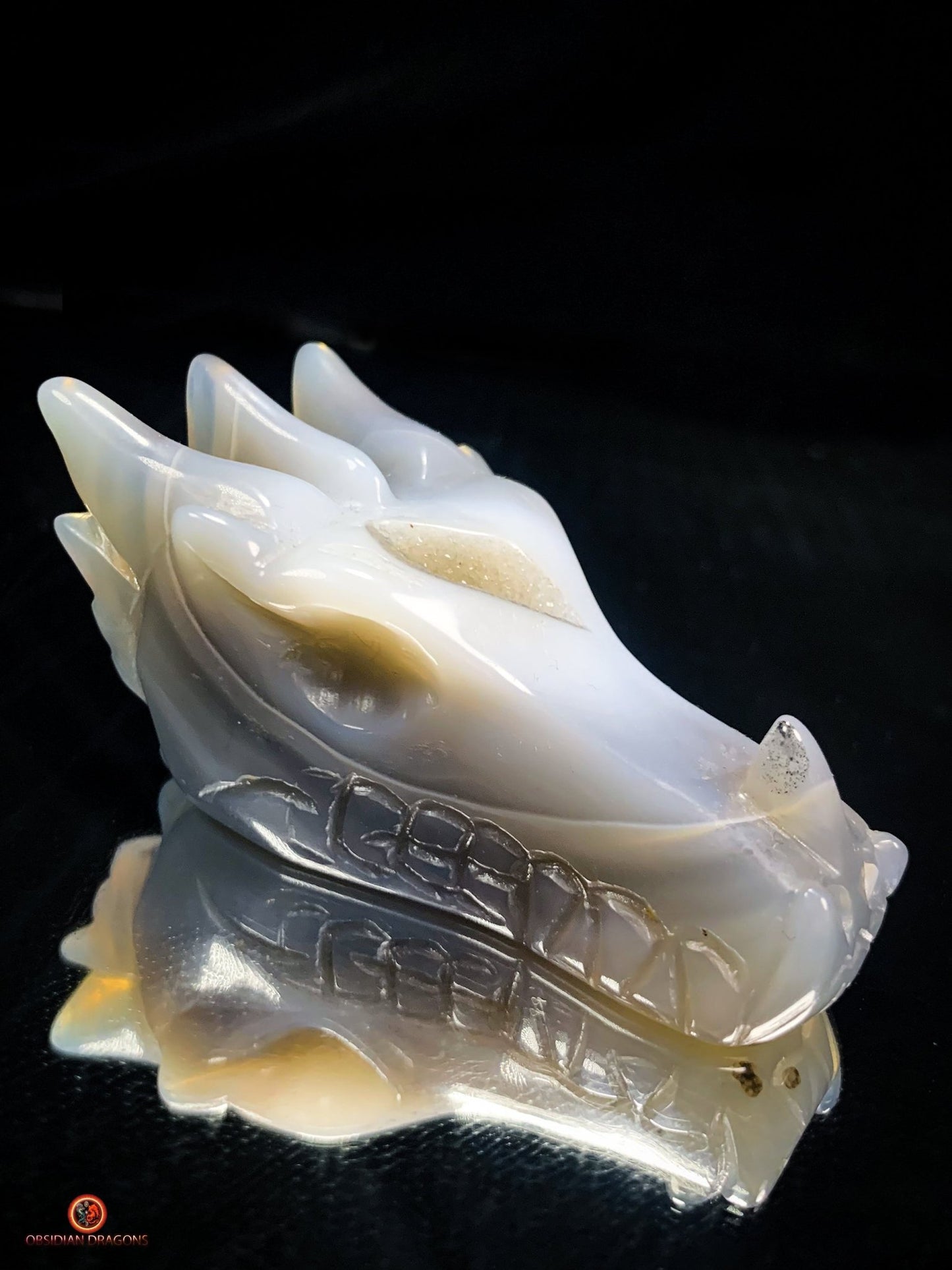 Crâne de Dragon dans géode de quartz – Lumière et Guérison