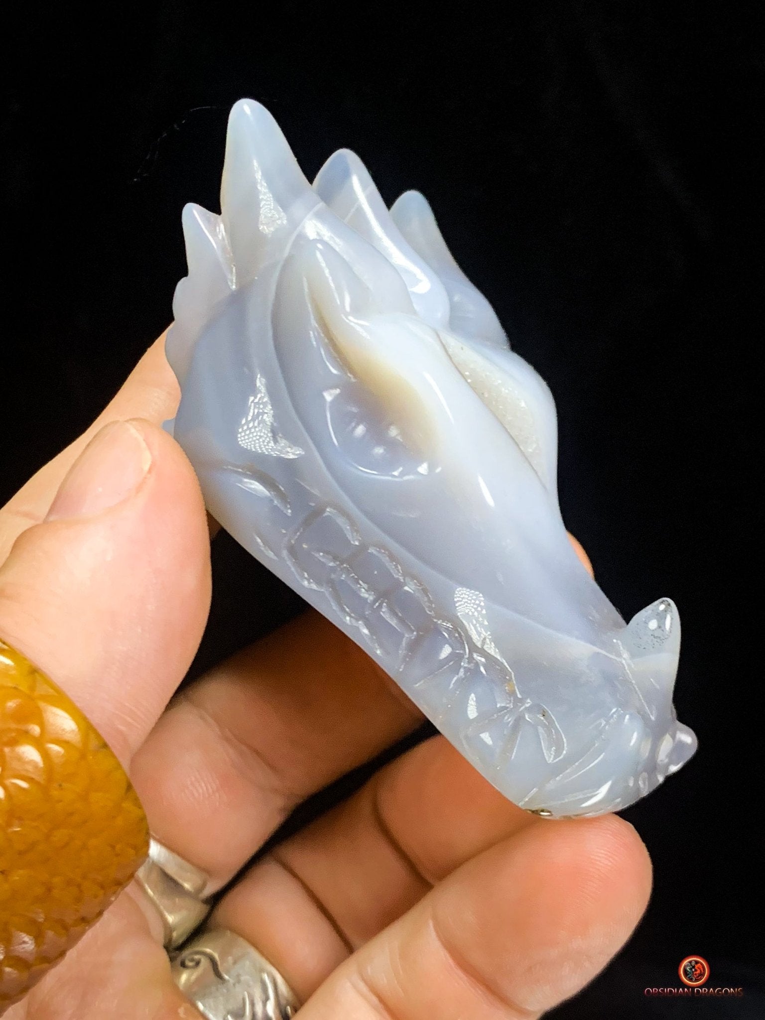 Crâne de Dragon dans géode de quartz – Lumière et Guérison | obsidian dragons