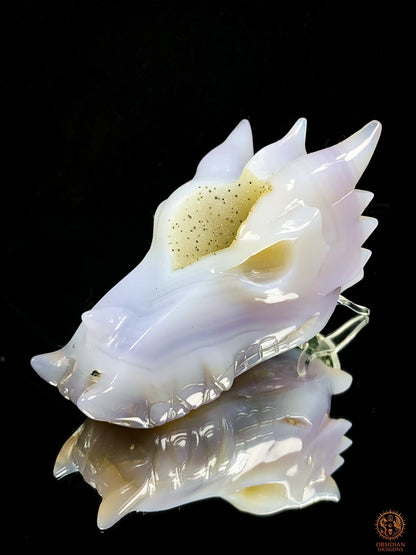Crâne de Dragon en Agate – Géode de Quartz – Gardien des Brumes | obsidian dragons